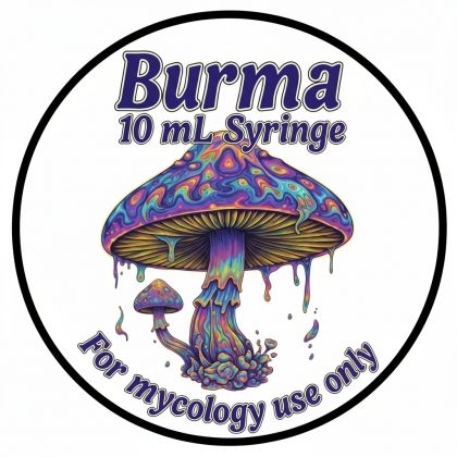 🌏 Burma Mushroom Liquid Culture – 10 mL Syringe