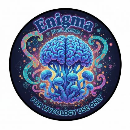 Enigma