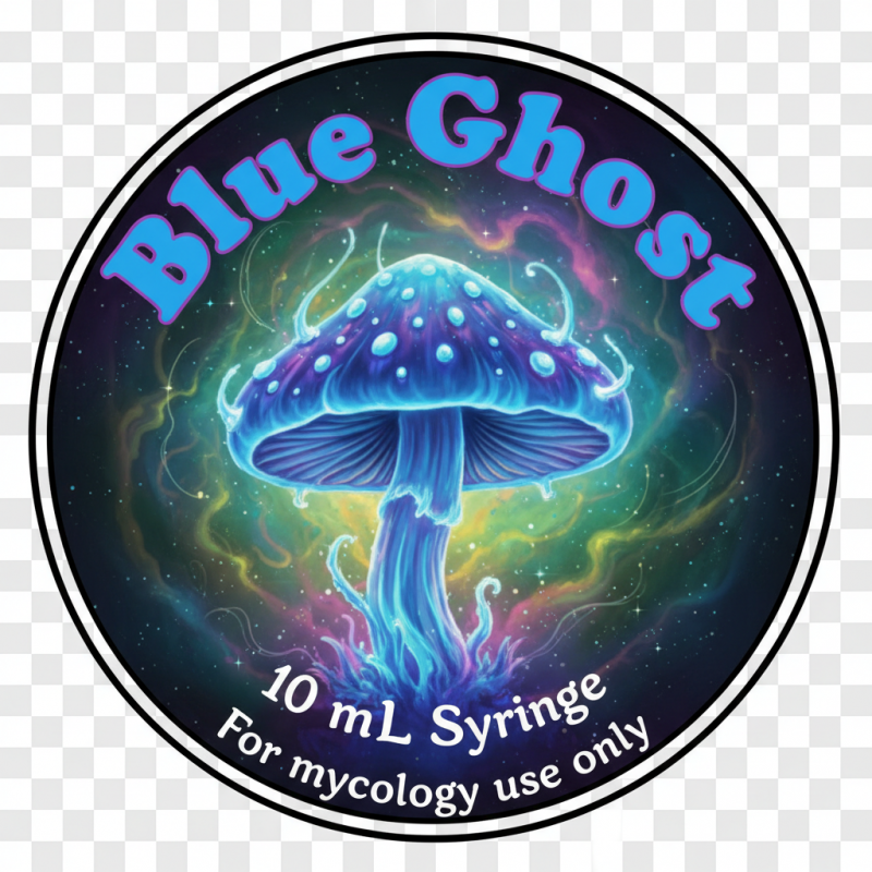 Blue Ghost