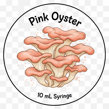 Pink Oyster
